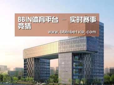 案例展示四